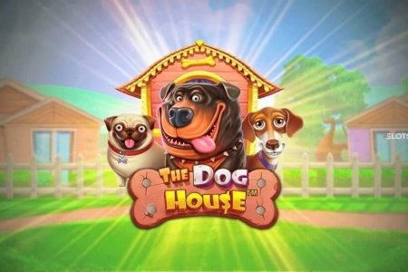 The Dog House – играй и выигрывай в доме больших заносов! Лови бонусы и промокоды в Wilder!